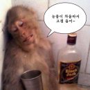 진 김밥천국 이미지