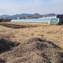 봉방동사무소 이미지