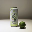 씨유(CU)파주한라점 | CU 생라임하이볼 도수 씨유 편의점 보드카 캔 재고 조회 가격 시음 후기