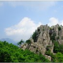 경주프라자약국 Daum카페