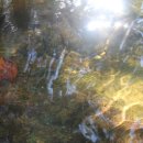 나무사이에 자연속으로 이미지