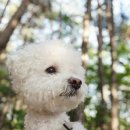 멍장원 네이버블로그