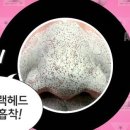 원샷올킬 네이버블로그