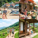 청도허브센터 | 2026 여름방학 한달살기 지원 총정리｜부산·제주·강진·밀양·삼척·청도 지역체험 혜택