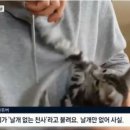 도움목장 이미지