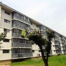 전북 남원시 금동 429 / 전북 남원시 금하정1길 8-6 / 주공 아파트 / 1 이미지