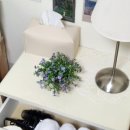 더블유앤비(W&B) 이미지