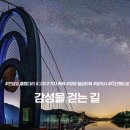 청양가설