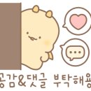 홍천화양강호텔