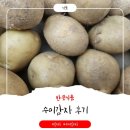 참맛식품 | 국내산 감자의 참맛 반뜻식품 수미감자 2kg 솔직 후기
