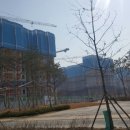 노블랜드공인중개사사무소 이미지