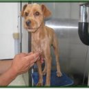 석전동270 이미지