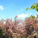 중앙공원 산책로 이미지