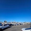 마린총각 이미지