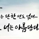 노벨문구 이미지