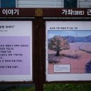 경기둘레길 김포고양4코스 | 경기둘레길 4코스(김포 - 고양)(야생조류생태공원 - 일산 - 동패지하차도)