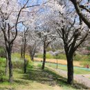 구미공원 배드민턴장 이미지