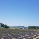 행복한 소풍 캠핑장 이미지