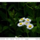 지축초등학교 이미지