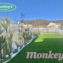 멍키즈 네이버블로그