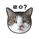 유유아로마 이미지