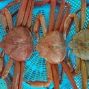 울진식당 이미지