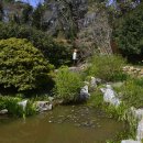 사철나무집민박 이미지