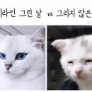 공감 이미지