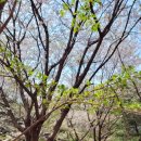 순복음교회 개방화장실 이미지