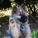 서울동물병원 앞 이미지