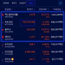 투리플 이미지