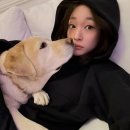 애니말 네이버블로그