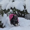 박순호의 아이슬란드 이미지