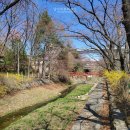 삼풍농장 이미지