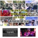 아델여행사 이미지