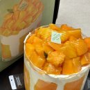 고기담다롯데백화점 | 대전 성심당 롯데백화점 주말 오픈런 후기, 망고롤 망고시루, 주차 꿀팁