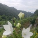 나눔슈퍼 이미지