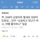 해외순방비 249억 쓰고 또 329억 편성 이미지