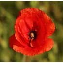 희망화원 이미지