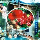 STX에너지(주) Daum카페