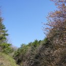 평창(강릉) 이미지