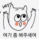 노화태권도 이미지