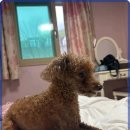 로맨틱큐브 이미지