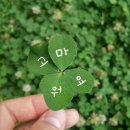 [손경제 시즌 3] 2016/07/26 헬리콥터 머니 이미지