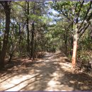 안골길 9 이미지