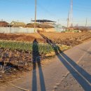 덕진농장 이미지