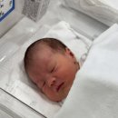 원지로 | 분당제생병원 신생아 황달 입원치료후기