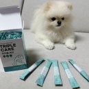 바른멍쿡 이미지