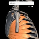 맞춤 체형 교정 센터 이미지