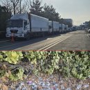 서해대로 이미지